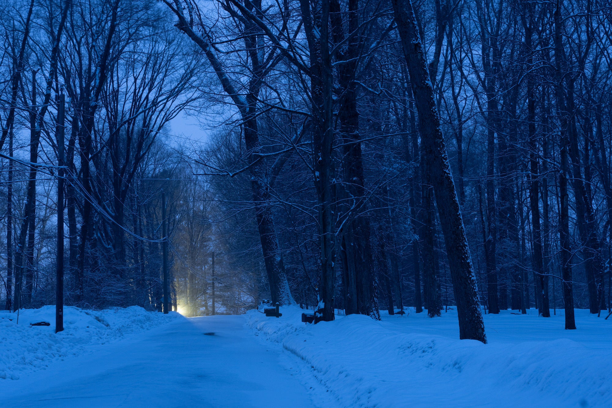 Snowy tree-lined road at blue hour with distant headlights.