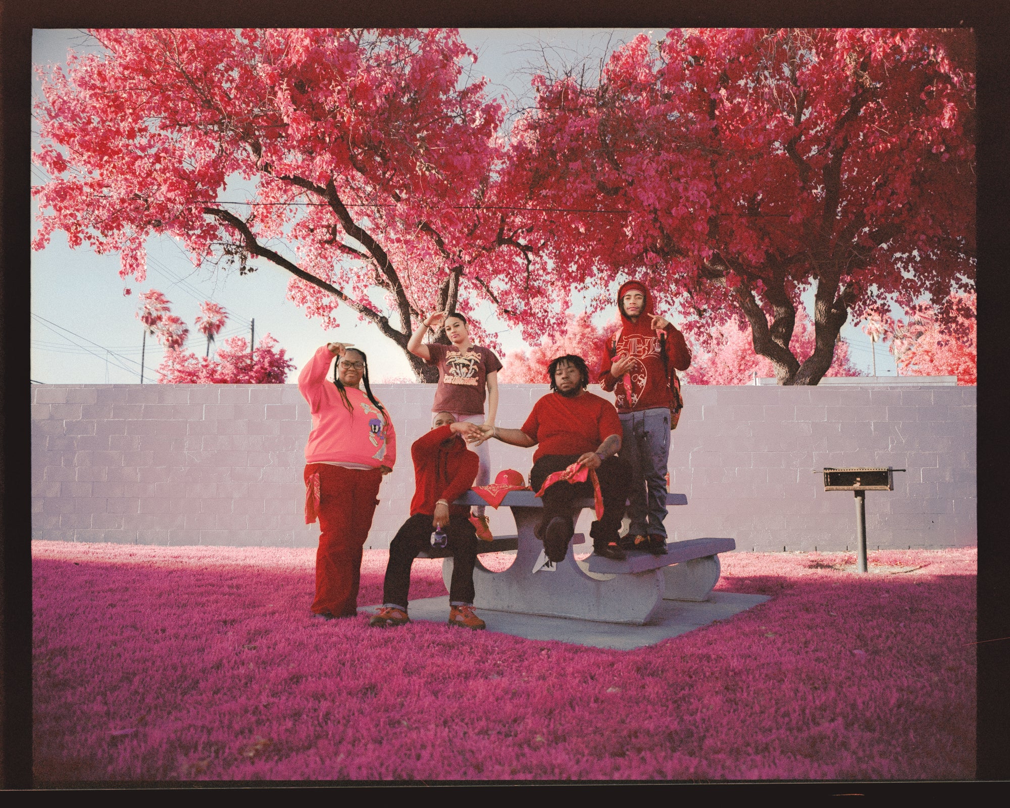 Copyright: &copy; Ben Brooks, United Kingdom, Finalist, Professional Competition, Creative, Sony World Photography Awards 2026