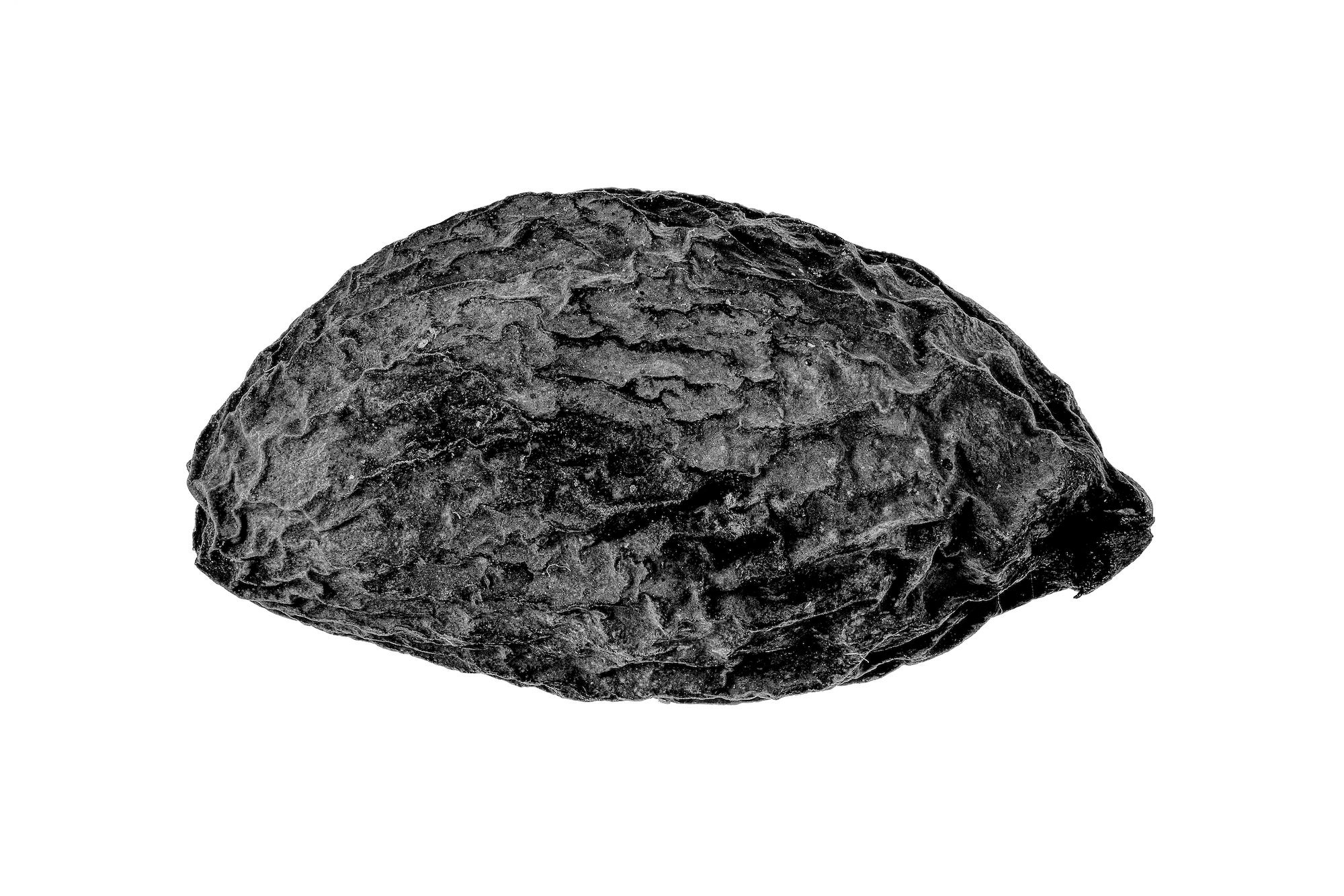 Copyright: &copy; Daniele Vita, Italy, Finalist, Professional Competition, Still Life, Sony World Photography Awards 2026