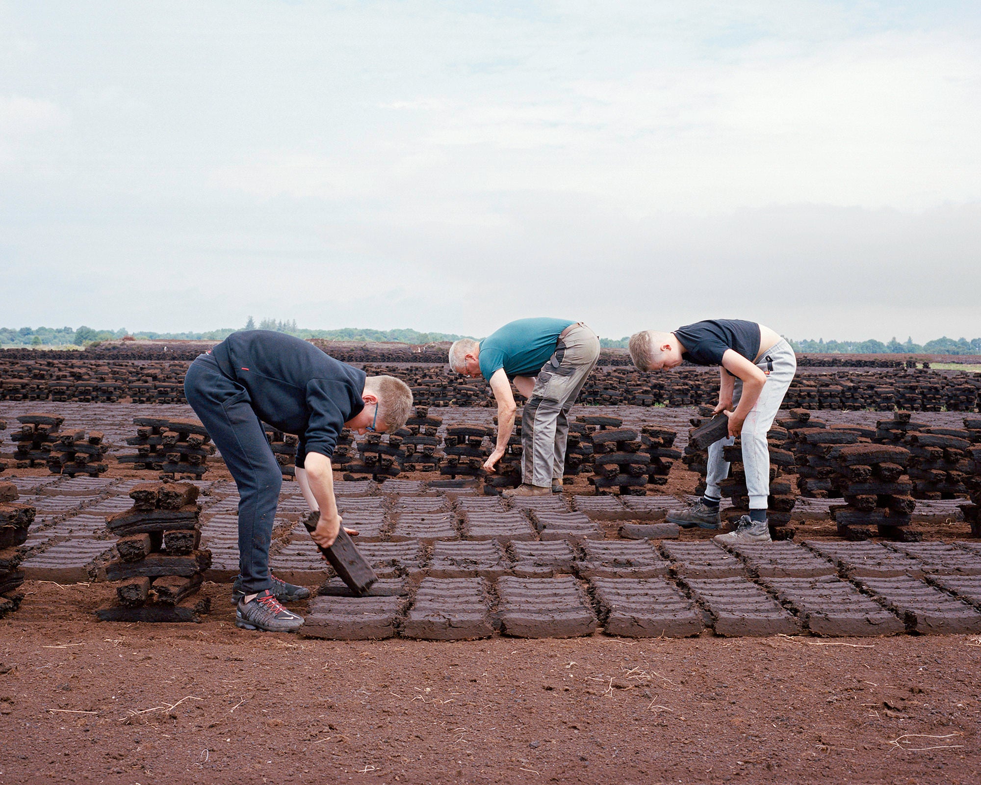 Copyright: &copy; Shane Hynan, Ireland, Finalist, Professional Competition, Environment, Sony World Photography Awards 2026