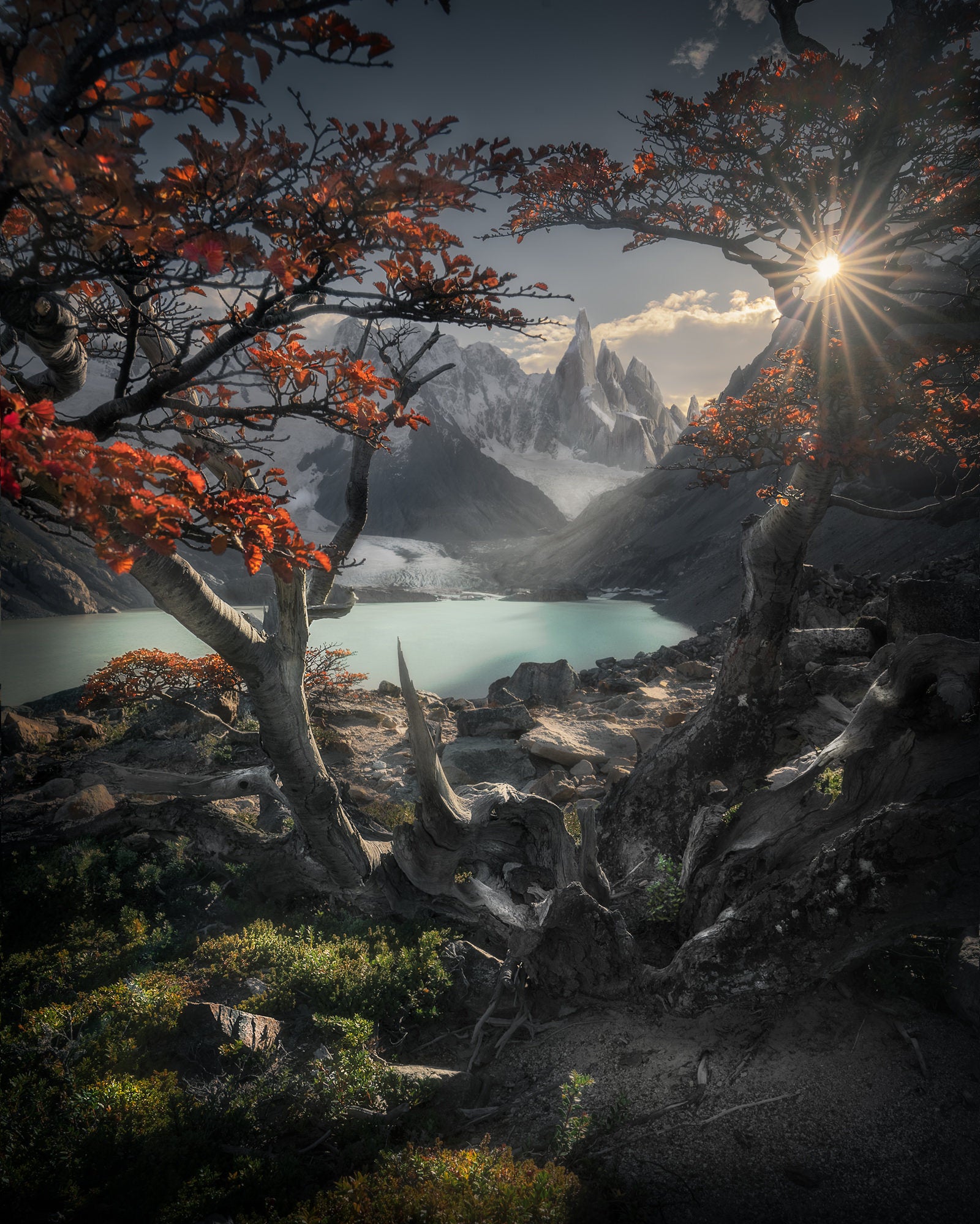 Autumn lenga trees frame the jagged Cerro Torre peaks and a glacial lagoon in Patagonia