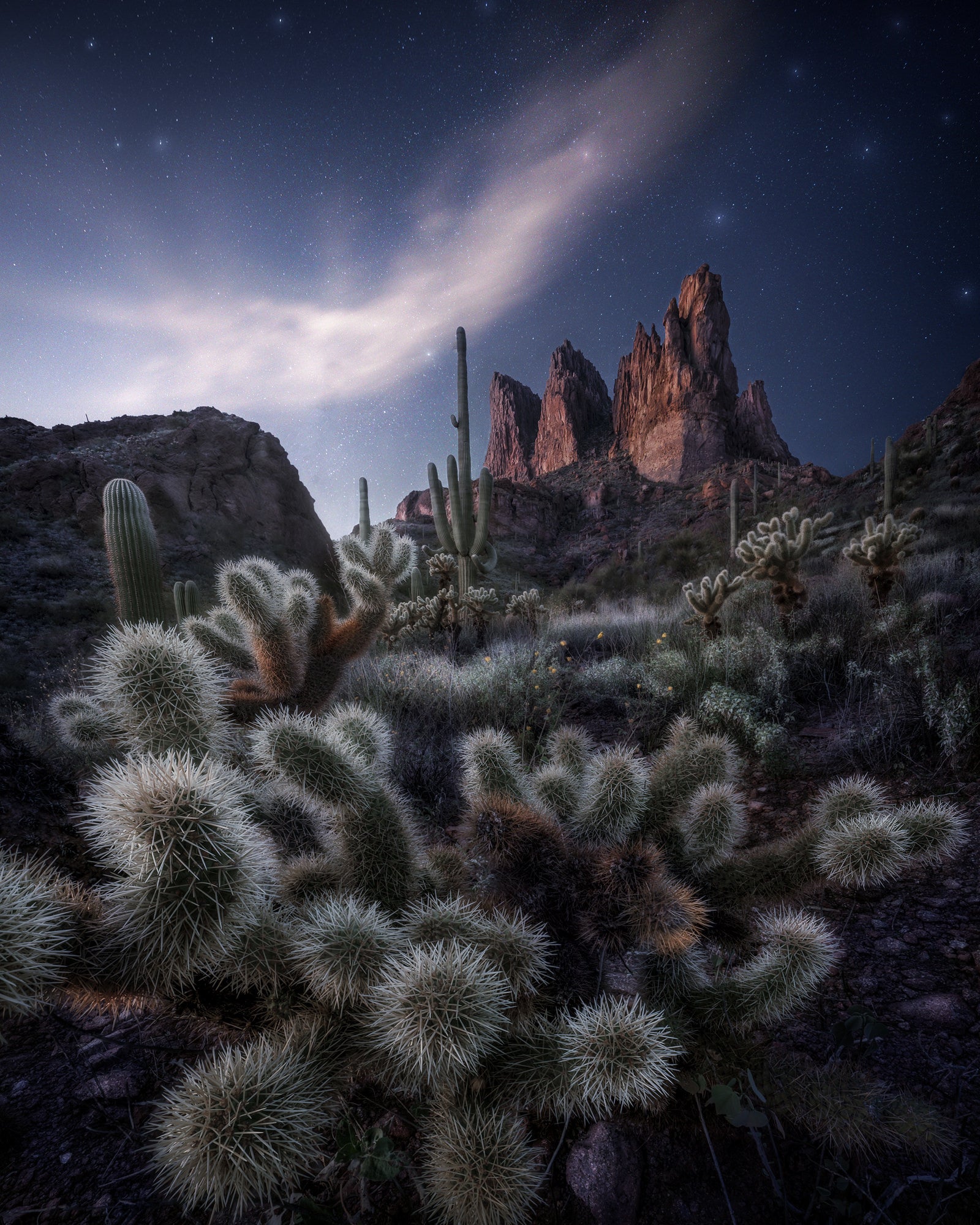 Starry night over Arizona’s Superstition Mountains with cholla and saguaro cacti in the foreground.