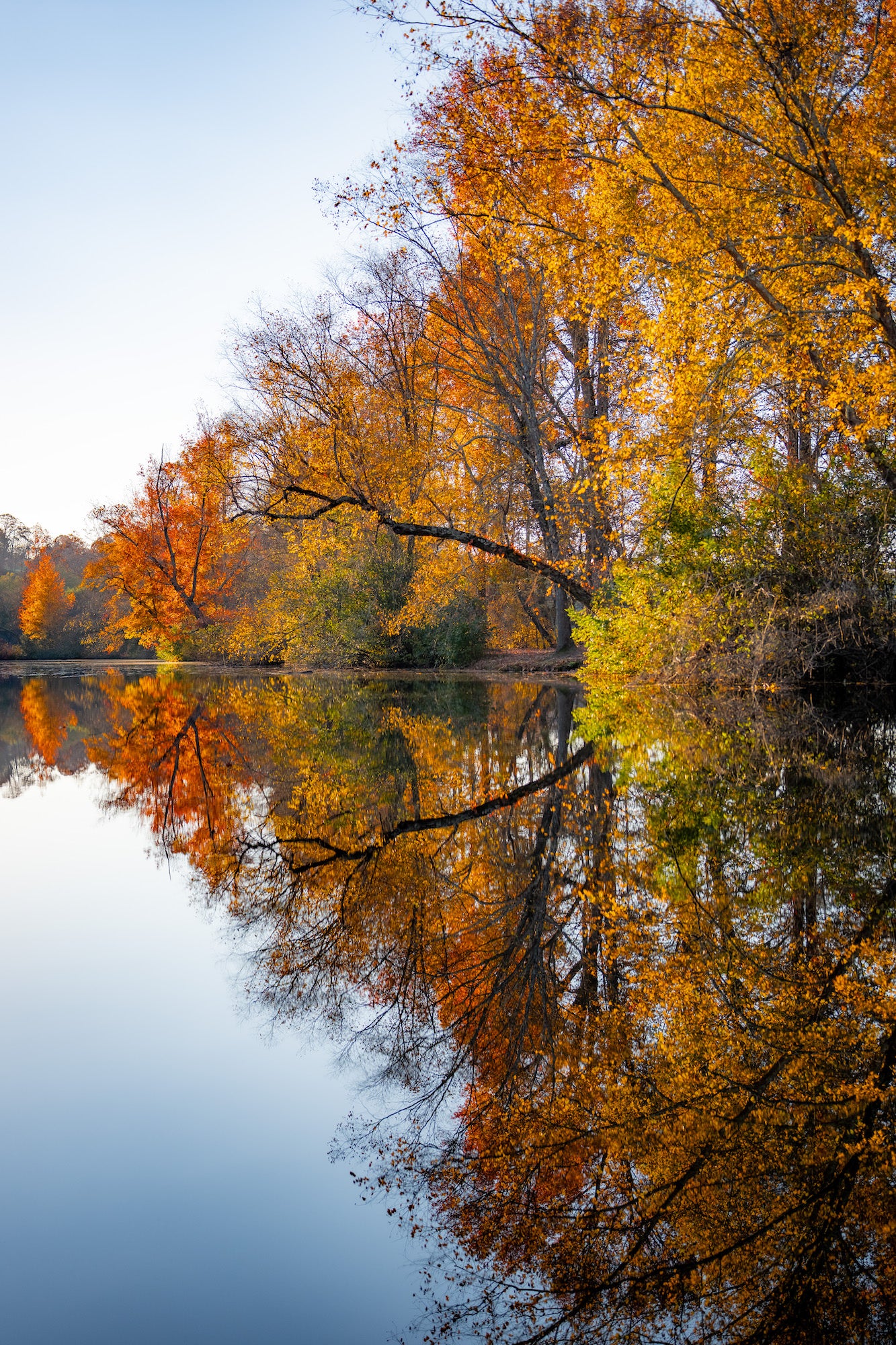 Bright fall foliage reflecting in calm lake water