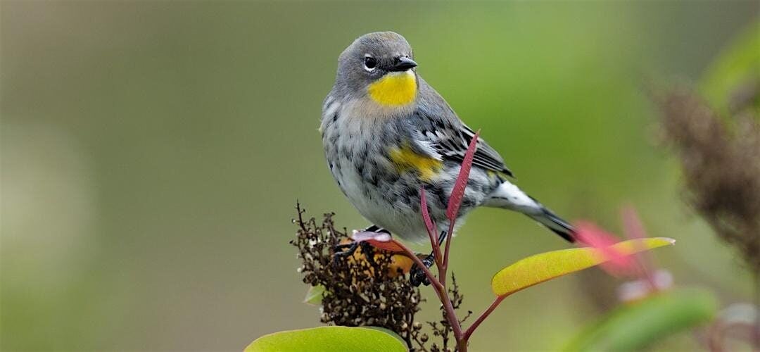 thumbnail image for the event