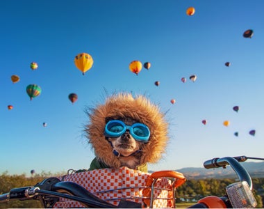 https://alphauniverseglobal.media.zestyio.com/dainichiballoonssky1a.jpg?height=300&fit=bounds