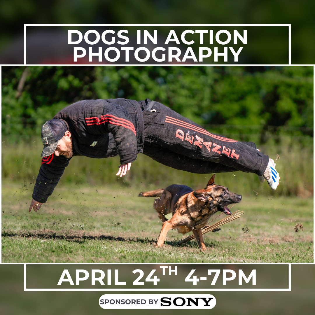 thumbnail image for the event