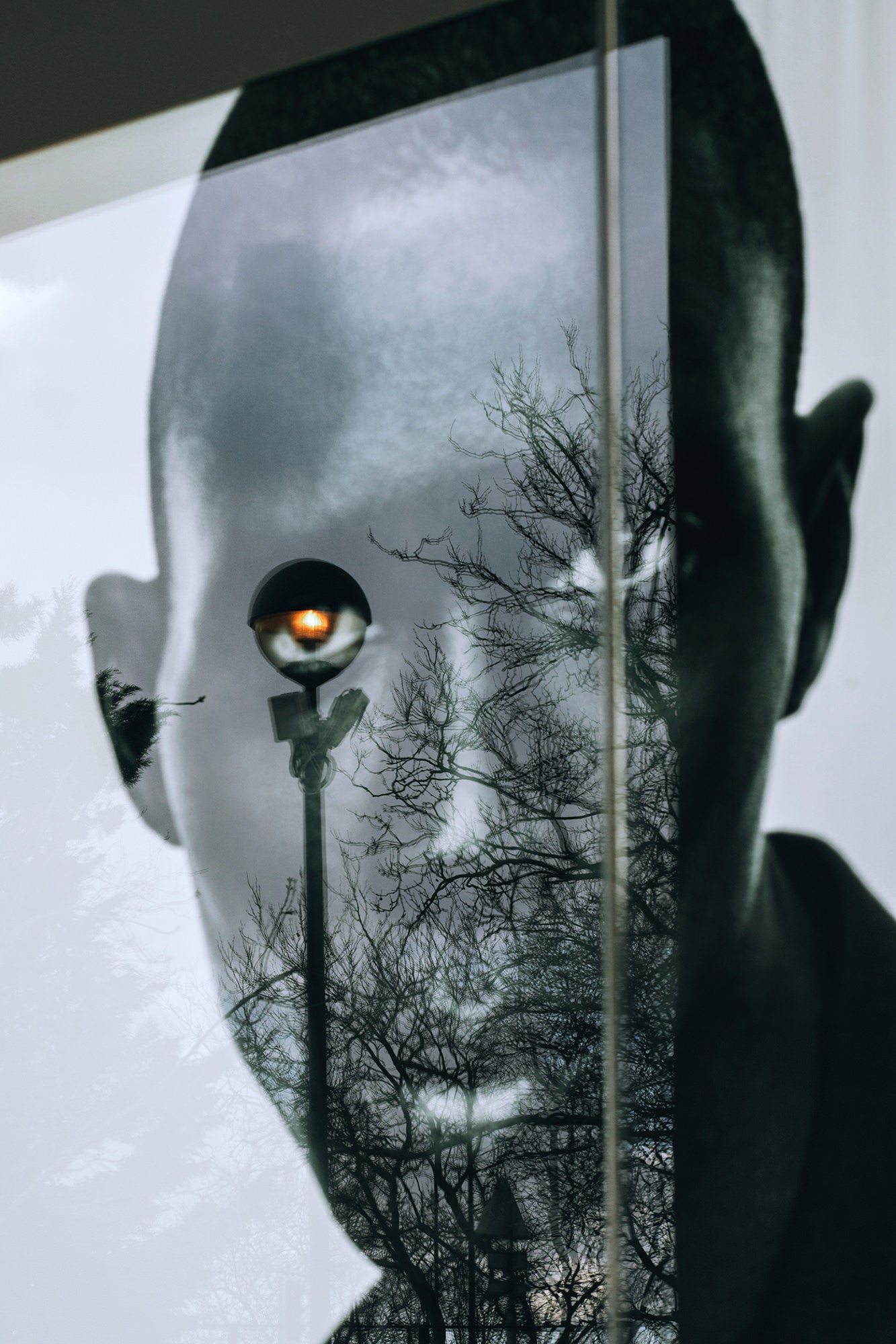 Reflective portrait layered with bare trees and a glowing streetlamp.
