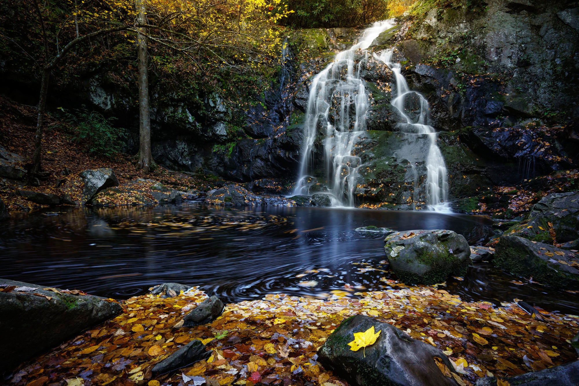 Sony A7R II, Zeiss Vario-Tessar T* FE 16-35mm f/4 ZA OSS lens