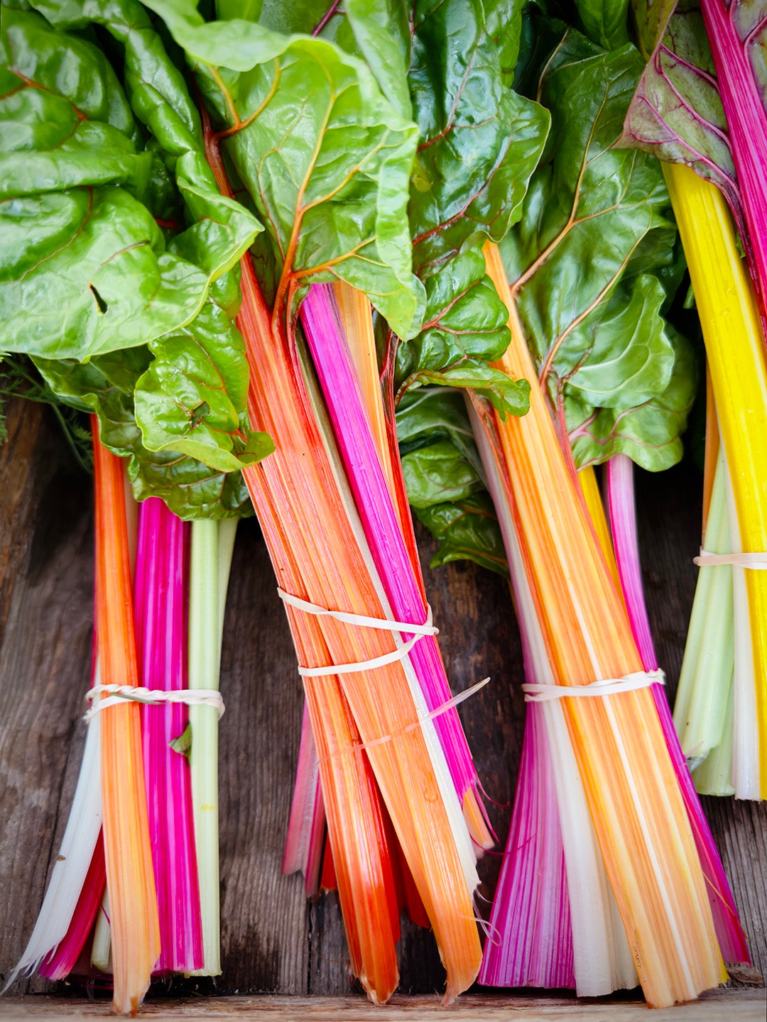 thumbnail image for the event