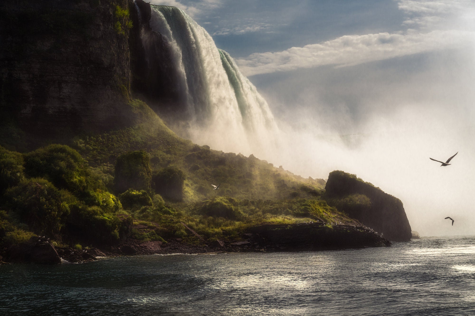 Gulls gliding past the misty base of Niagara Falls as water pours over the cliff onto green rocks. Photo by David Shockey.