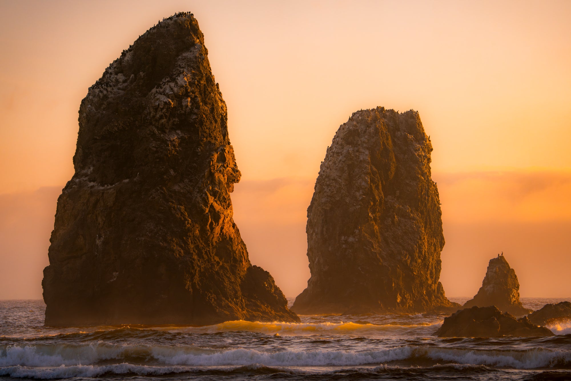 Towering coastal sea stacks glowing in golden sunset light above breaking surf. Photo by Tomer Negrin. Alpha 7R V. 200-600mm f/5.6-6.3 G OSS. f/6.3. 1/1250-sec. ISO 200.