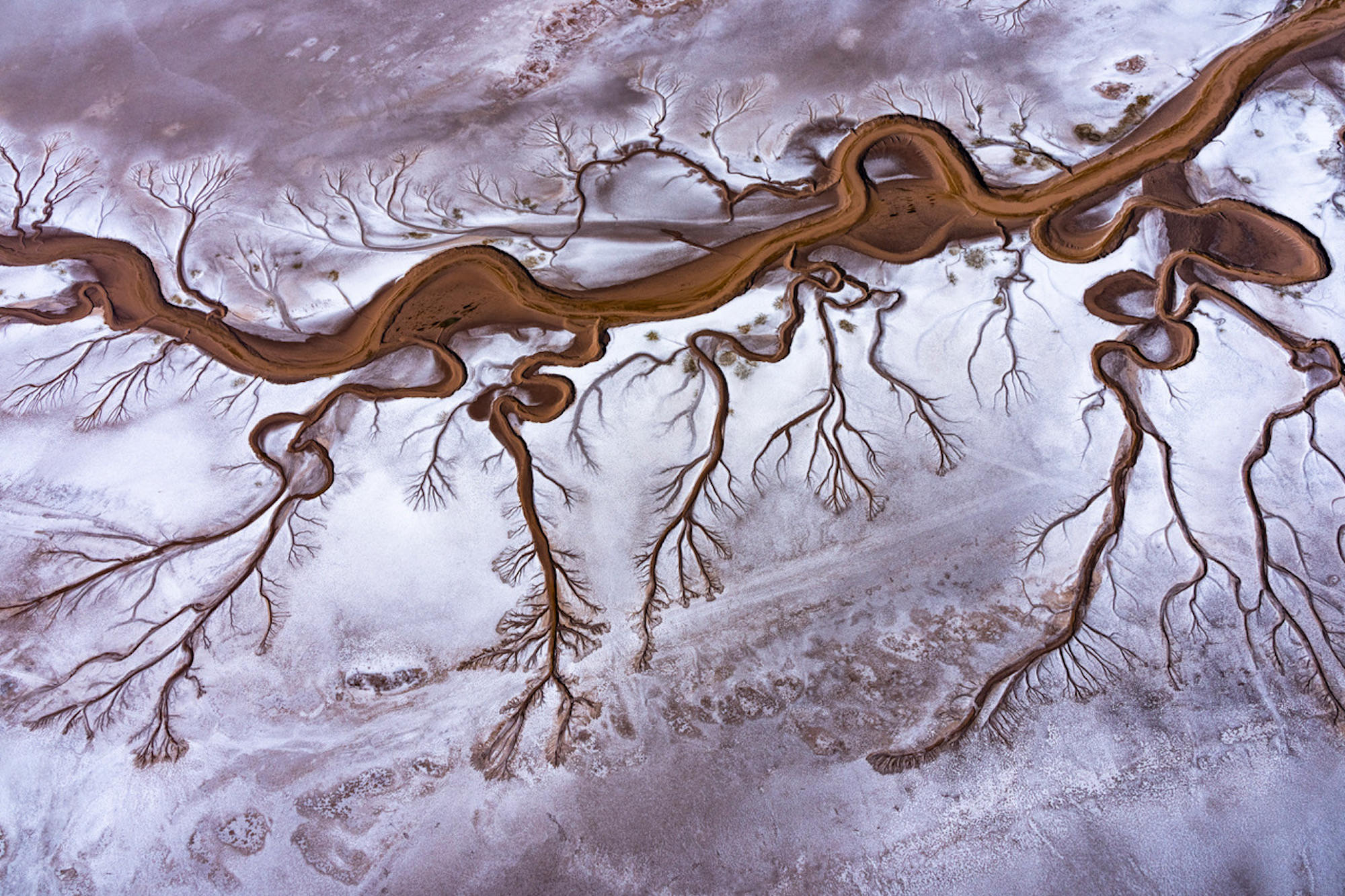 Braided channels in the dry Colorado River Delta, revealing a river that often no longer reaches the sea.