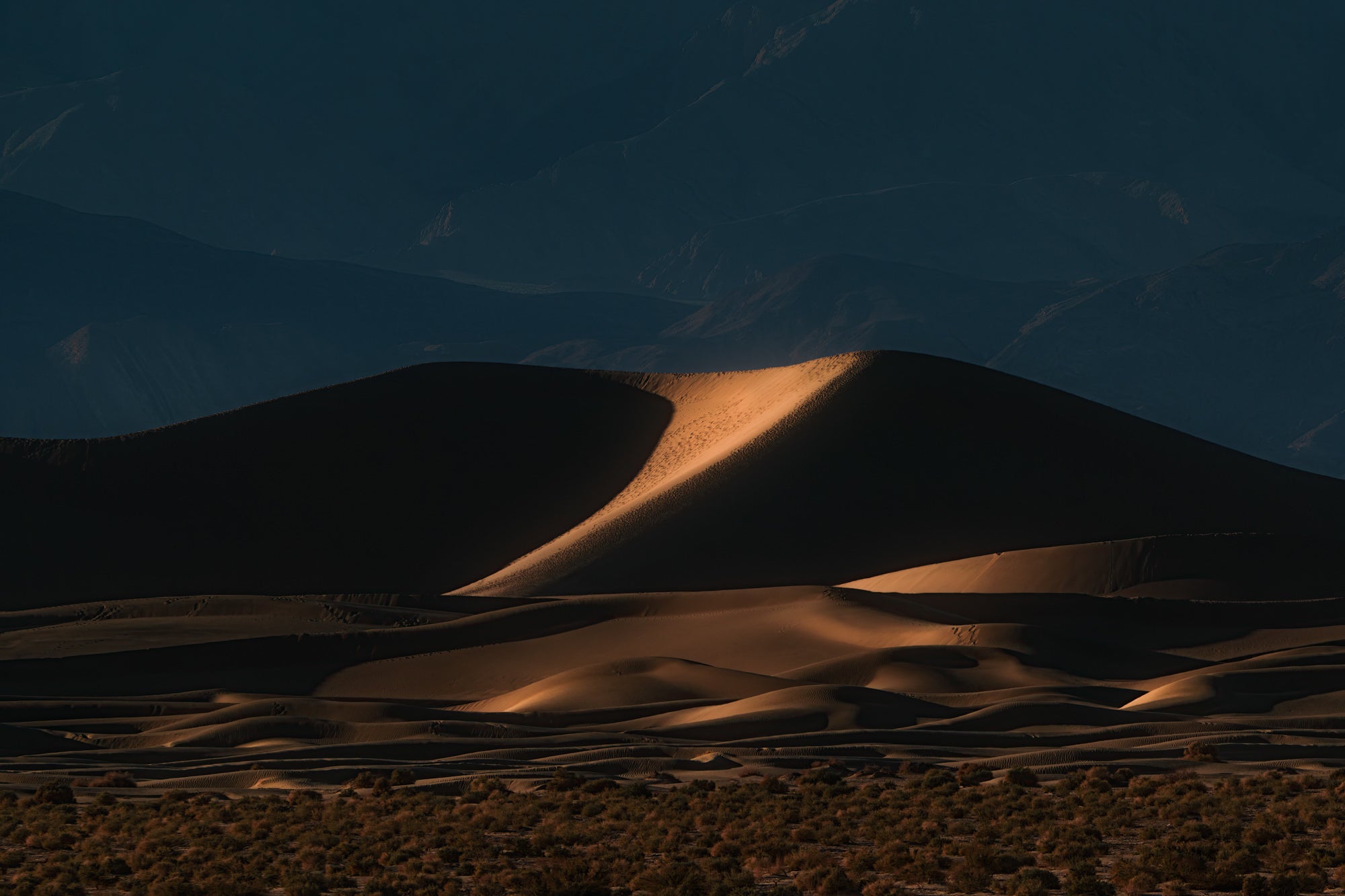 Low sunlight rims the crest of a sand dune at Death Valley, with dark mountains rising behind and desert brush in front. Photo by David Shockey.