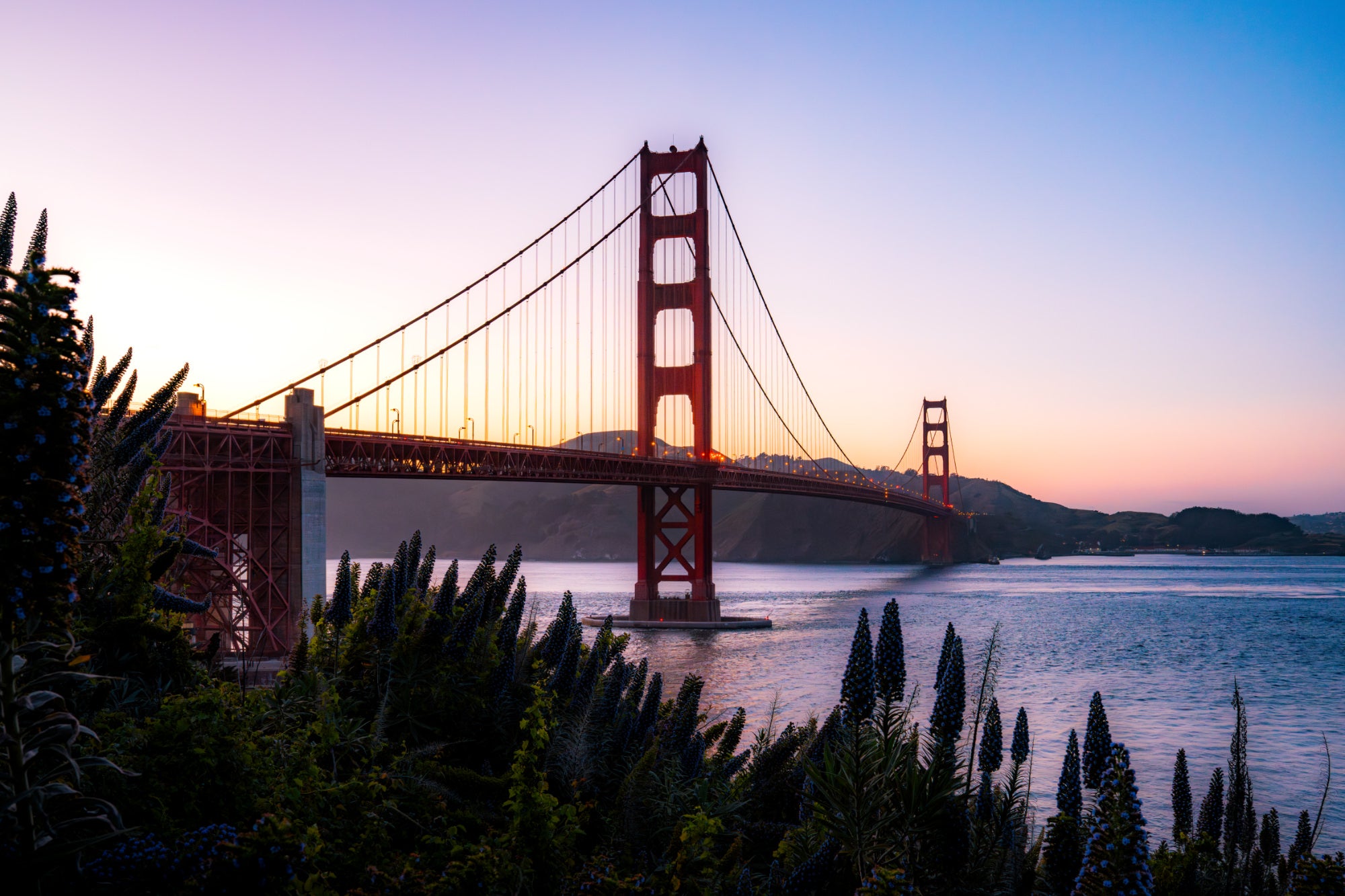 Golden Gate Bridge at dawn under a pink and purple sky, framed by flowering plants above the bay. Photo by Tomer Negrin. Alpha 7R V. 16-35mm f/2.8 G Master II. f/11. 1/25-sec. ISO 1600.