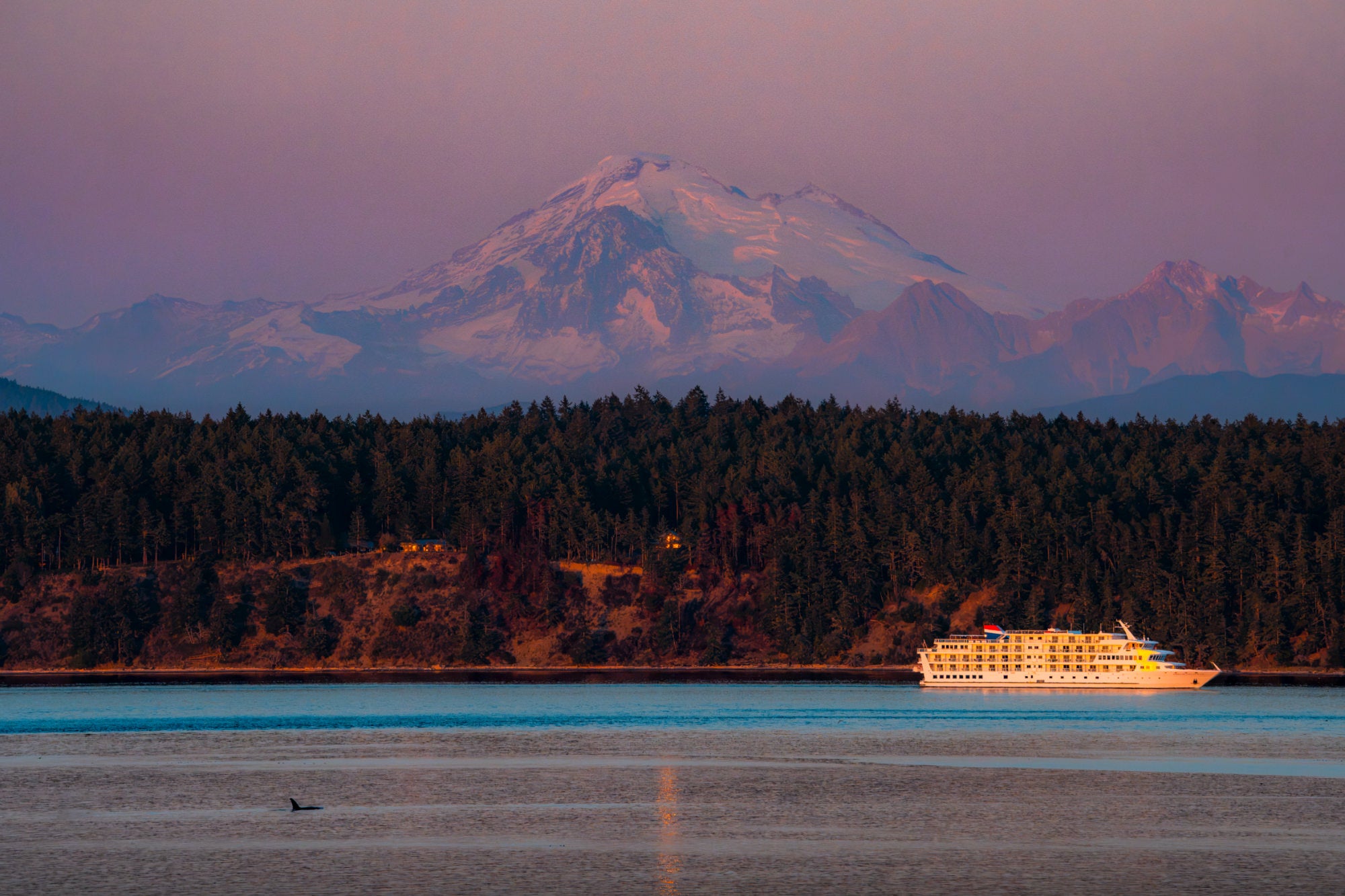 Small cruise ship passing a forested shoreline at sunset with a snow-capped volcano beyond and an orca fin in the water. Photo by Tomer Negrin. Alpha 7R V. 200-600mm f/5.6-6.3 G OSS. f/11. 1/800-sec. ISO 1250.