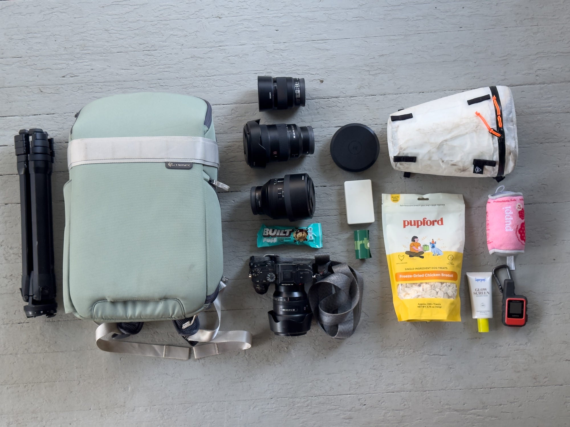 Flat lay of a camera bag kit: mint backpack, tripod, Sony camera with lens, three lenses, dog treats, sunscreen and snacks. Photo by Rachael Austin.